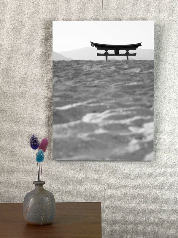 torii-ensable-acrylic-a3